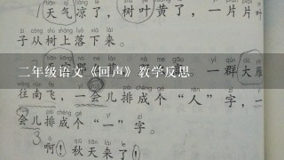 二年级语文《回声》教学反思