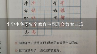 小学生冬季安全教育主题班会教案3篇