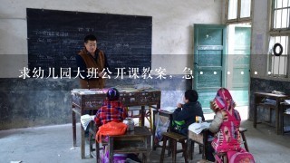 求幼儿园大班公开课教案，急······