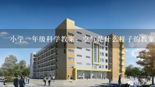 小学1年级科学教案：空气是什么样子的教案