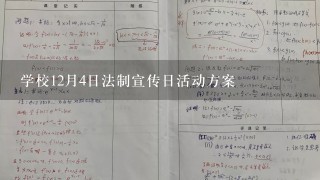 学校12月4日法制宣传日活动方案