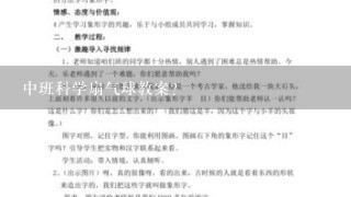 中班科学扇气球教案？