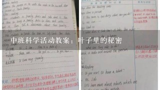 中班科学活动教案：叶子里的秘密