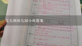 夏天到幼儿园小班教案