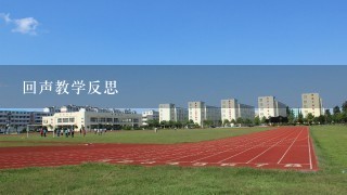 回声教学反思