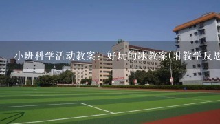 小班科学活动教案：好玩的冰教案(附教学反思)