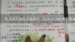 幼儿园学前班全脑数学“认识10~20的数”教案