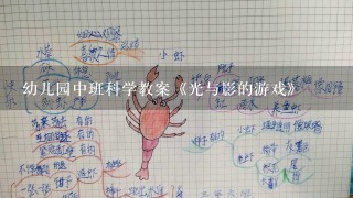 幼儿园中班科学教案《光与影的游戏》