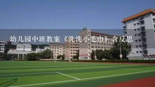 幼儿园中班教案《洗洗小毛巾》含反思