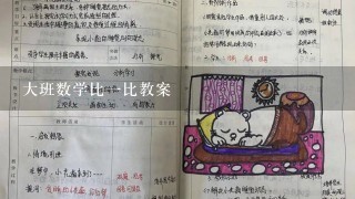 大班数学比1比教案