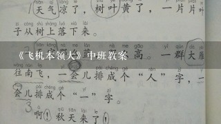 《飞机本领大》中班教案