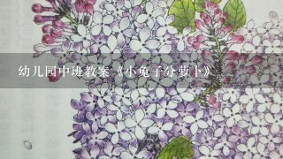 幼儿园中班教案《小兔子分萝卜》