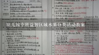 幼儿园中班益智区域水果分类活动教案