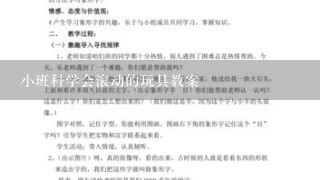 小班科学会滚动的玩具教案