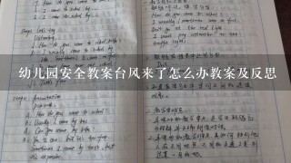 幼儿园安全教案台风来了怎么办教案及反思