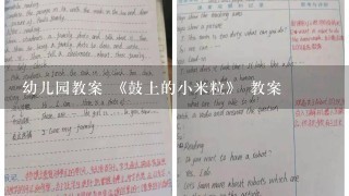 幼儿园教案 《鼓上的小米粒》 教案