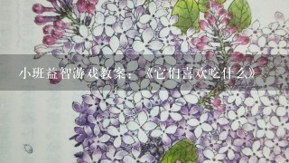 小班益智游戏教案：《它们喜欢吃什么》