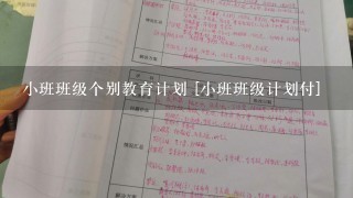 小班班级个别教育计划 [小班班级计划付]