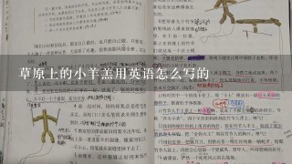 草原上的小羊羔用英语怎么写的