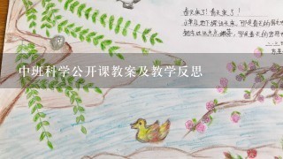 中班科学公开课教案及教学反思