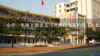 小学1年级下册语文《开满玫瑰花的院子》教案