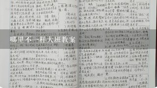 哪里不1样大班教案