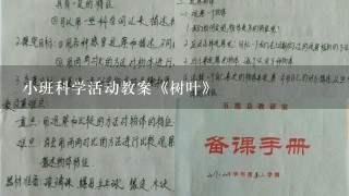 小班科学活动教案《树叶》