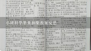 小班科学苹果和梨教案反思