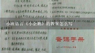 小班语言《小企鹅》的教案怎么写