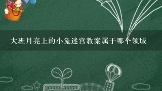 大班月亮上的小兔迷宫教案属于哪个领域