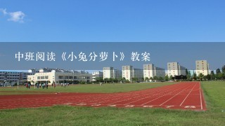 中班阅读《小兔分萝卜》教案