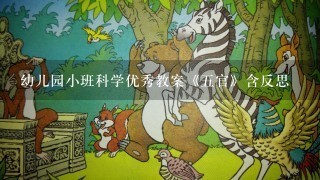 幼儿园小班科学优秀教案《5官》含反思