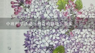 中班科学活动《神奇的静电》教案