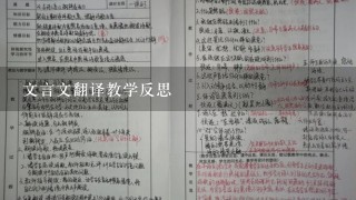 文言文翻译教学反思