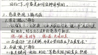 急求人教版小学3年级下册品德与社会教案