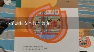 小学法制安全教育教案