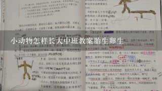 小动物怎样长大中班教案胎生卵生