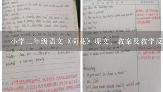 小学2年级语文《荷花》原文、教案及教学反思