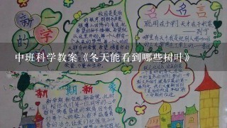 中班科学教案《冬天能看到哪些树叶》