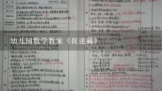 幼儿园数学教案《捉迷藏》