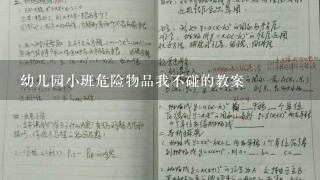 幼儿园小班危险物品我不碰的教案