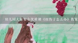 幼儿园大班安全优质课《扭伤了怎么办》教案