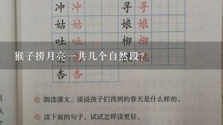 猴子捞月亮1共几个自然段？