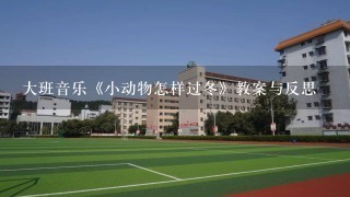 大班音乐《小动物怎样过冬》教案与反思