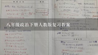 8年级政治下册人教版复习教案