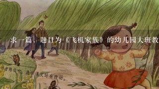 求1篇，题目为《飞机家族》的幼儿园大班教案