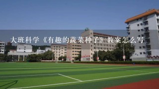 大班科学《有趣的蔬菜种子》教案怎么写