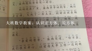 大班数学教案：认识正方体、长方体