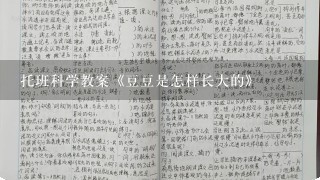 托班科学教案《豆豆是怎样长大的》