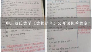 中班蒙氏数学《数物结合》公开课优秀教案？